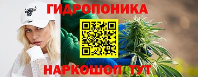 крисы Ачхой-Мартан