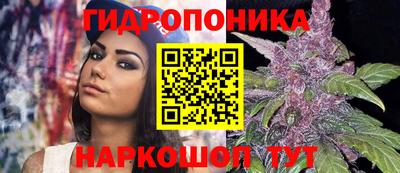 тгк Аша