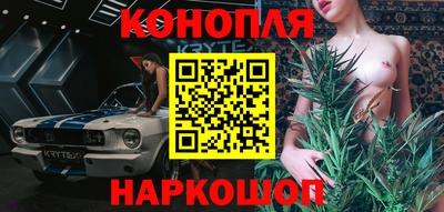 прущие грибы Бердск