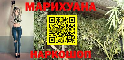 прущие грибы Бердск