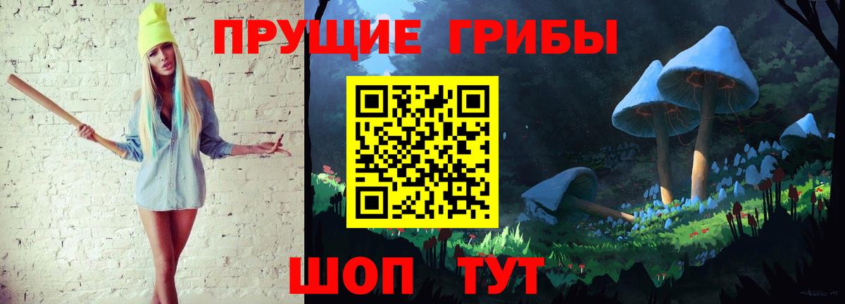 где можно купить наркотик  Вход с VPN  Гудермес  Псилоцибиновые грибы ЛСД 